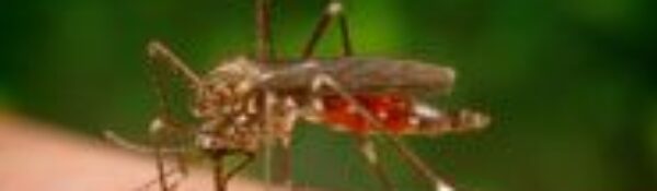 Food Defense – Agrosecurity – Veterinary Public Health